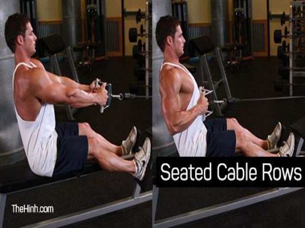 Seated Cable Row