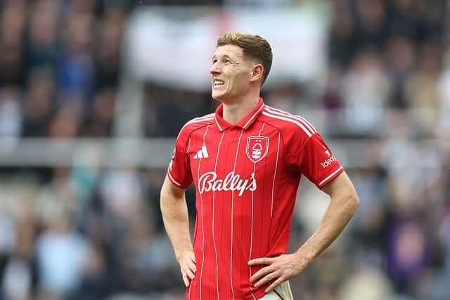 Conor Gallagher: Giải pháp kinh tế và đáng tin cậy